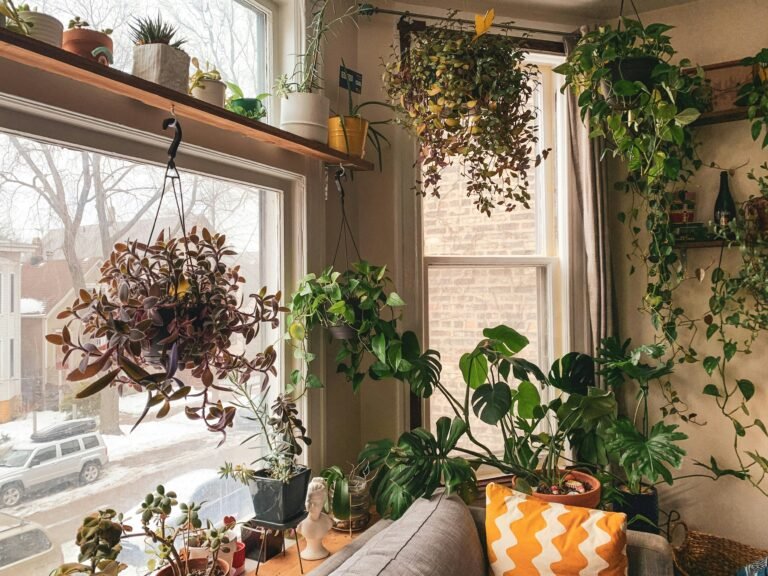 Indoor apartment garden with house plants growing near sunny windows