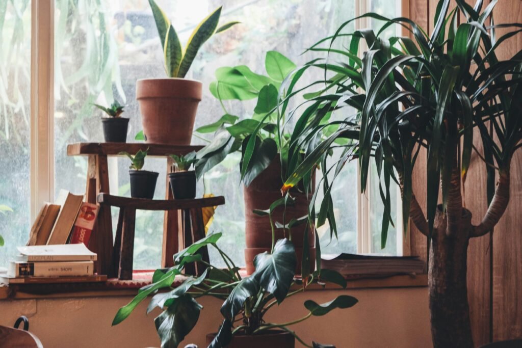 Apartment Gardening: The Complete Beginner’s Guide