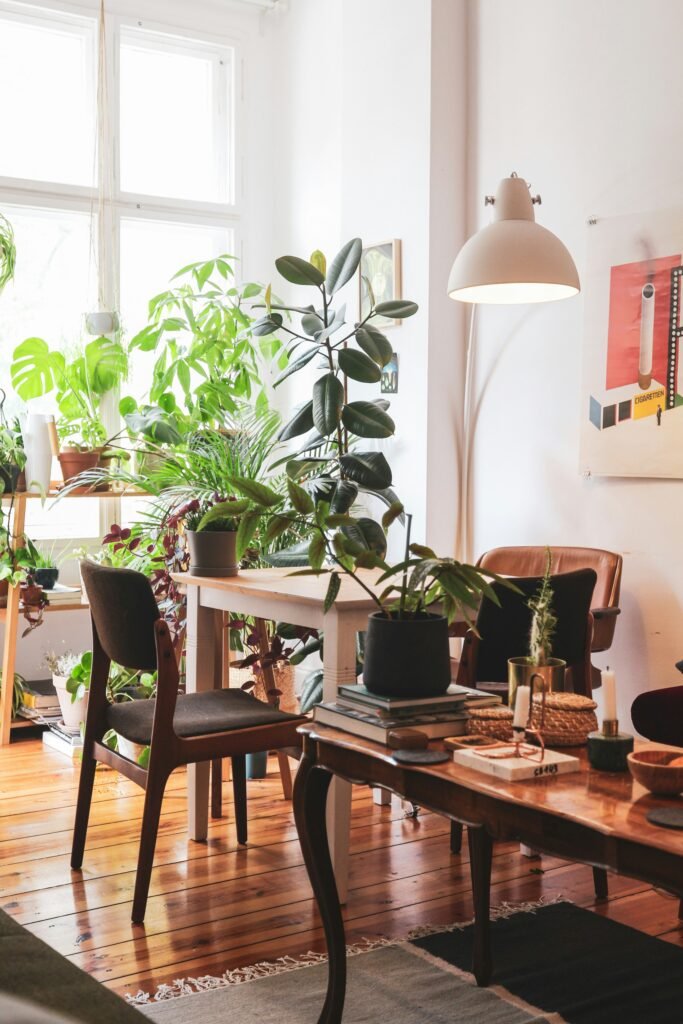 Indoor apartment living space filled with potted houseplants near a bright window